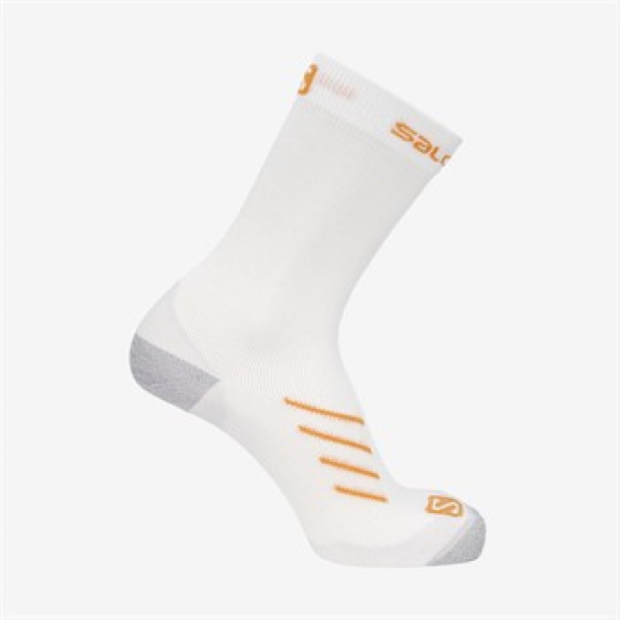 PULSE CREW DX+SX PULSE CREW DX+SX