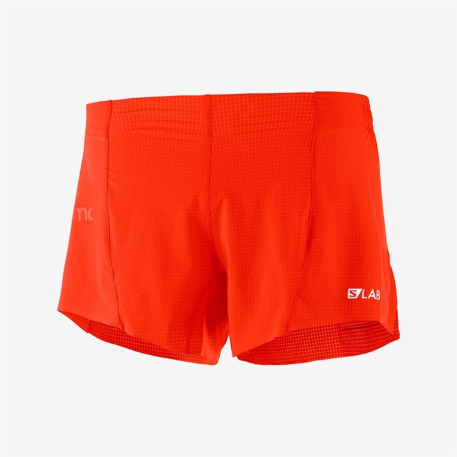 S/LAB SHORT 4 Şort
