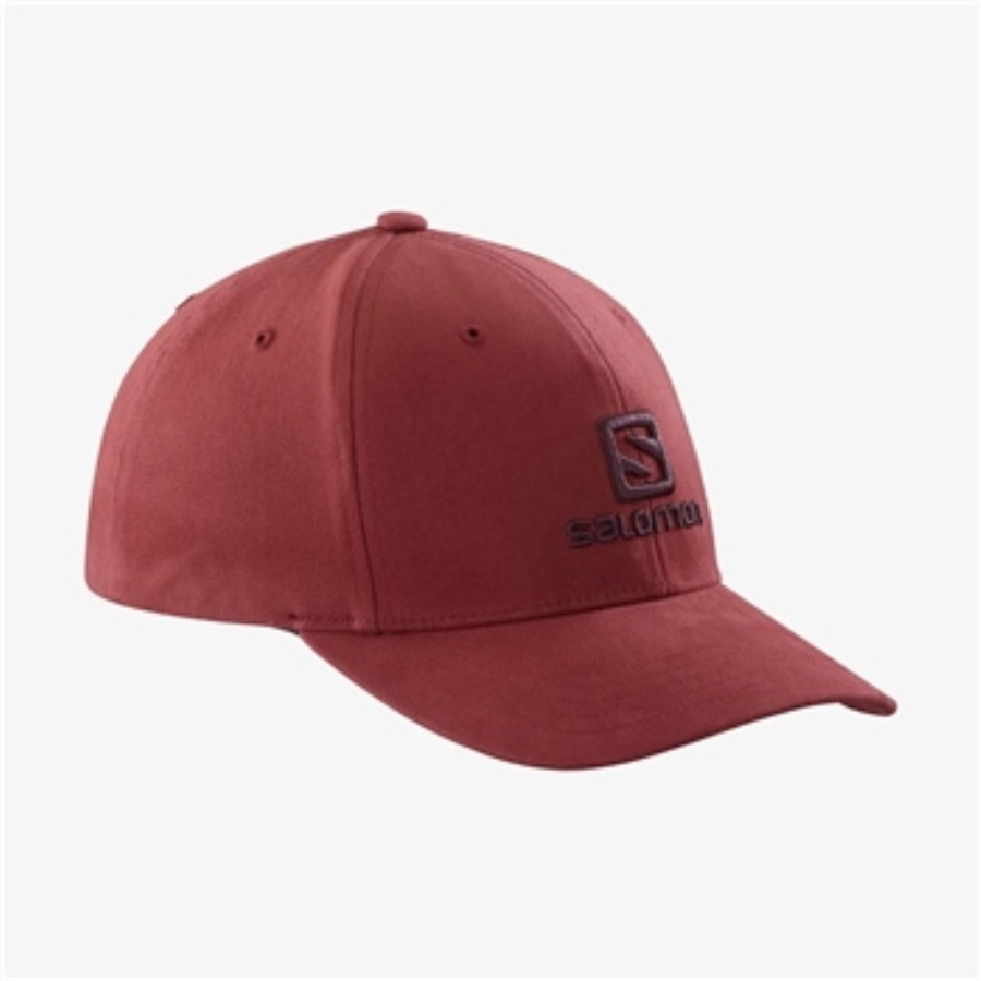 SALOMON LOGO CAP Aksesuar