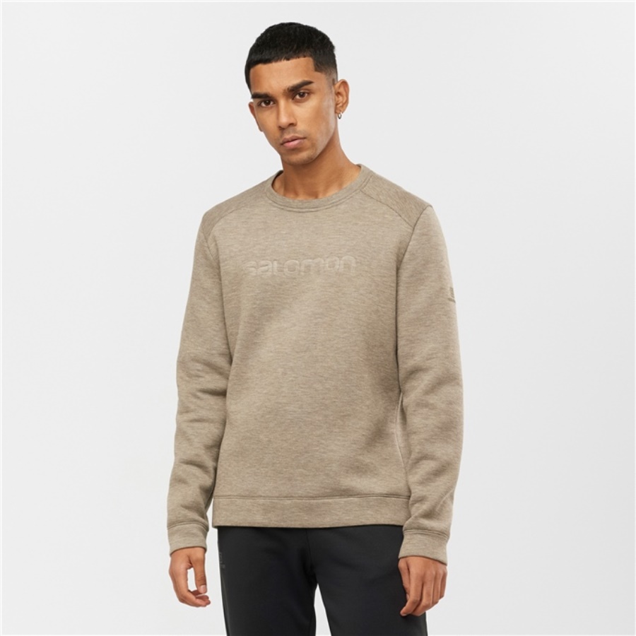 SIGHT CREWNECK Erkek Sweatshirt