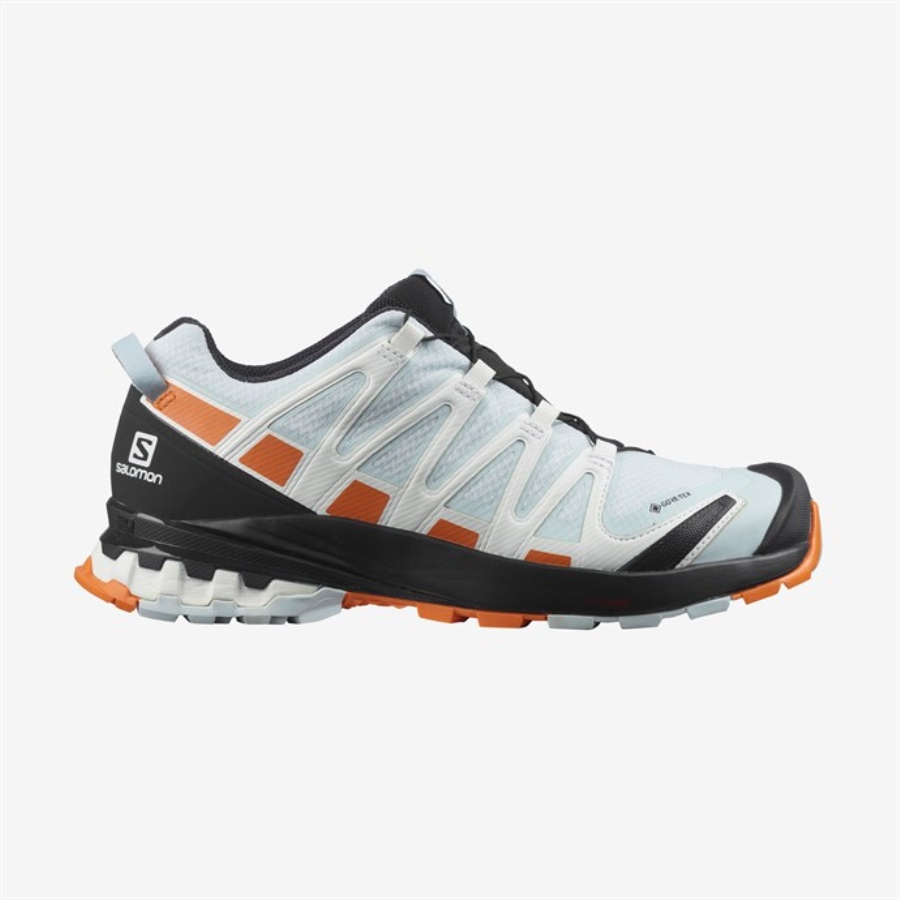 XA PRO 3D v8 GTX W Kadın Ayakkabı