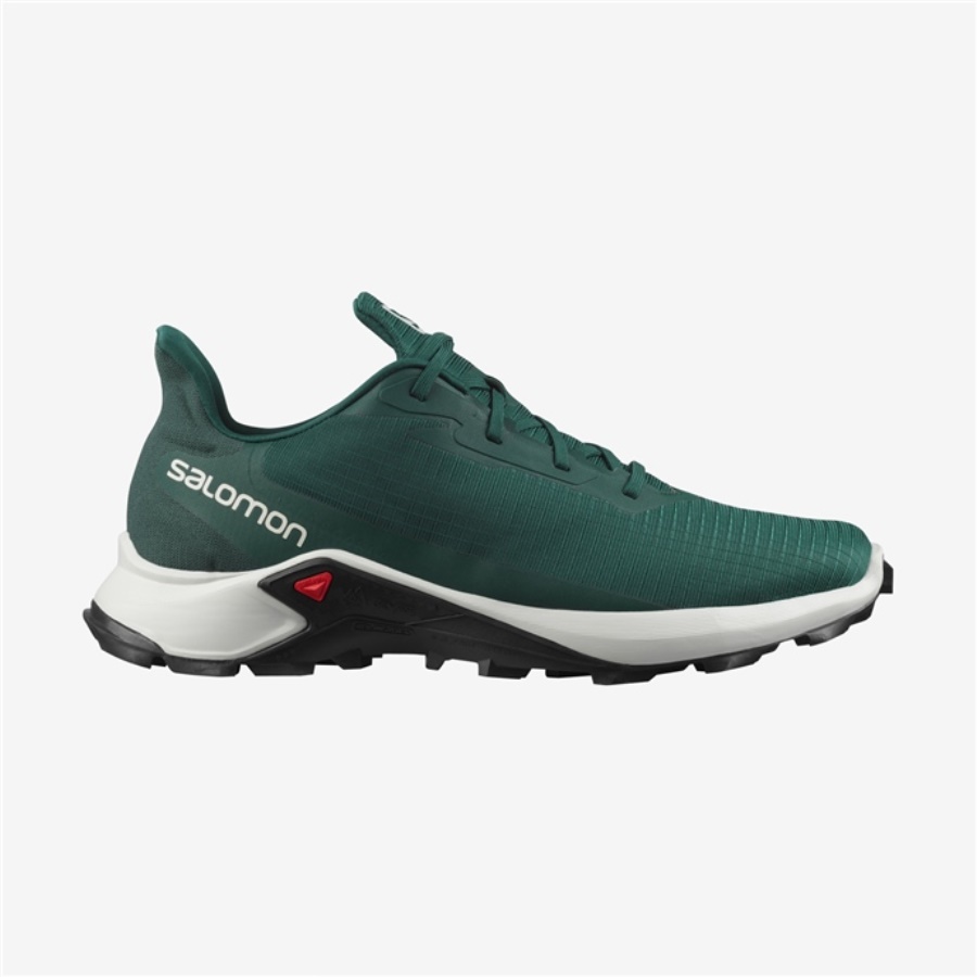 ALPHACROSS 3 Erkek Ayakkabı Trail Running