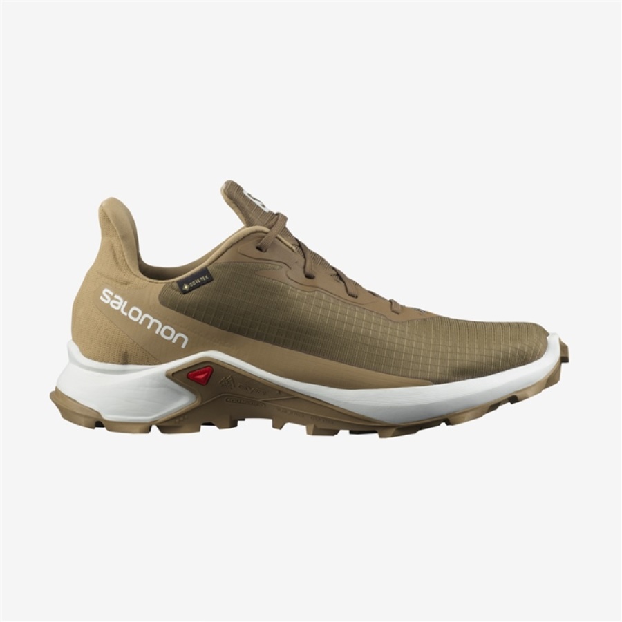 ALPHACROSS 3 GTX Erkek Trail Running