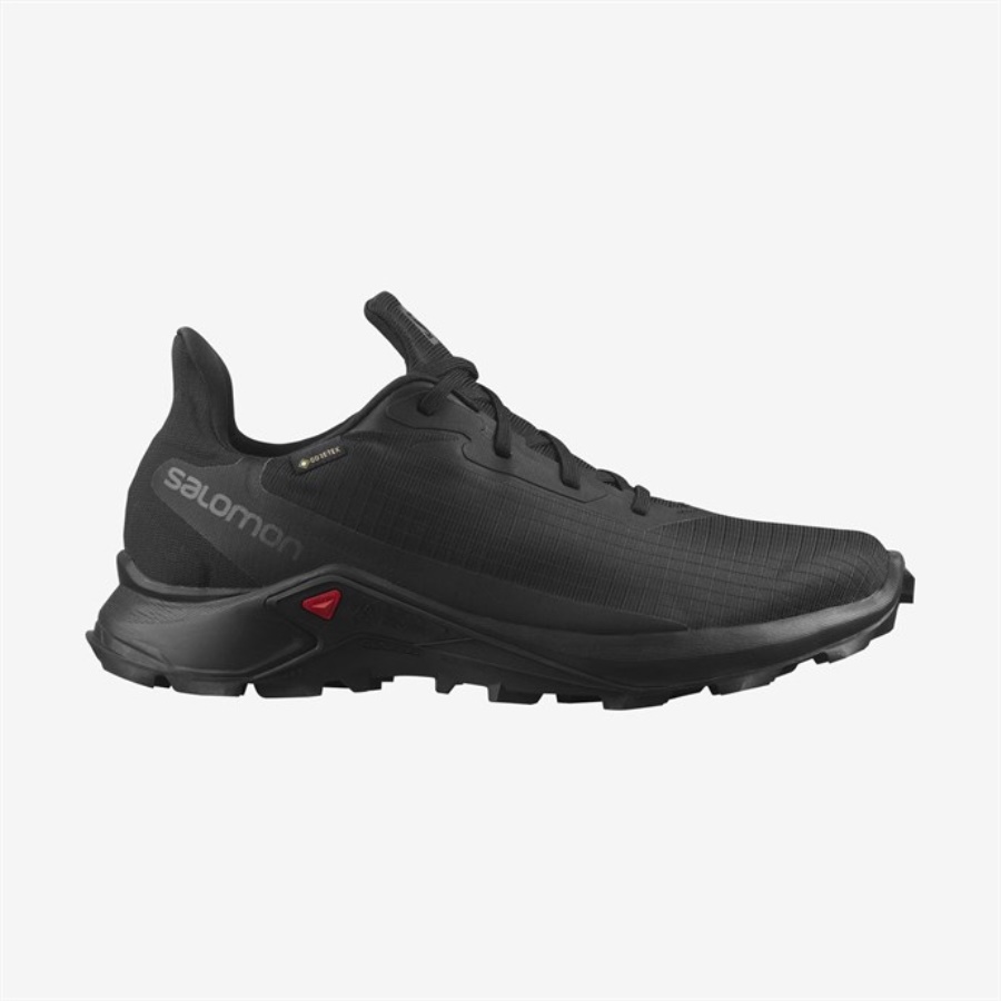 ALPHACROSS 3 GTX Erkek Trail