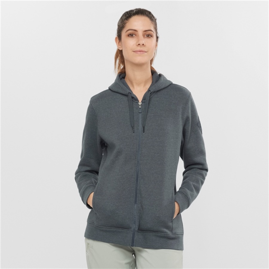SALOMON HOODIE Kadın Üst Giyim