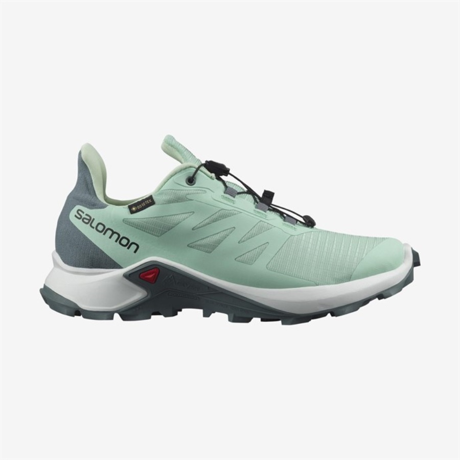 SUPERCROSS 3 GTX W Ayakkabı