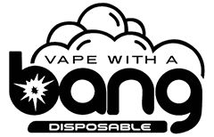 turkiyesalomon.com